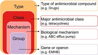 A Cross-Sectional Study of Dairy Cattle Metagenomes Reveals Increased Antimicrobial Resistance in Animals Farmed in a Heavy Metal Contaminated Environment